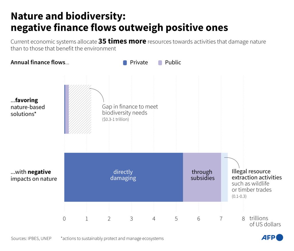 Nature And Biodiversity: Negative Finance Flows Outweigh Positive Ones