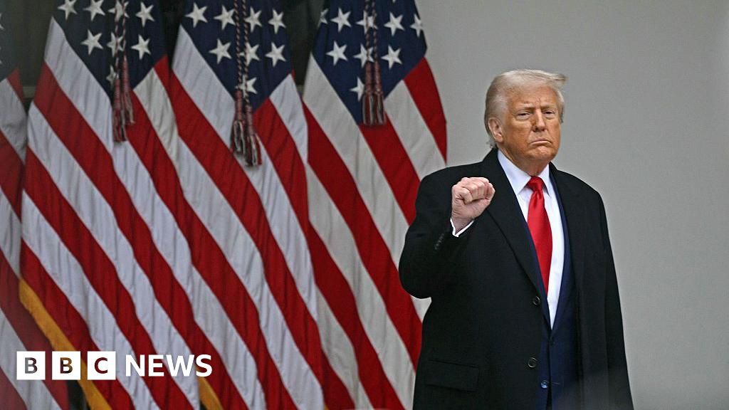 Trump's agenda grapples with political and economic reality