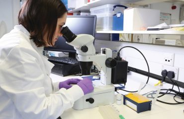 Saving the Bay State's innovation economy