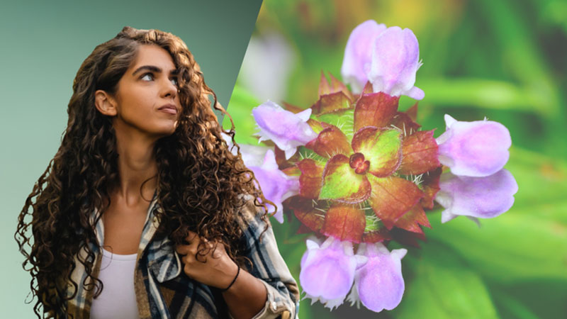 BASF’s Personal Care business launches Ameriflor Calm