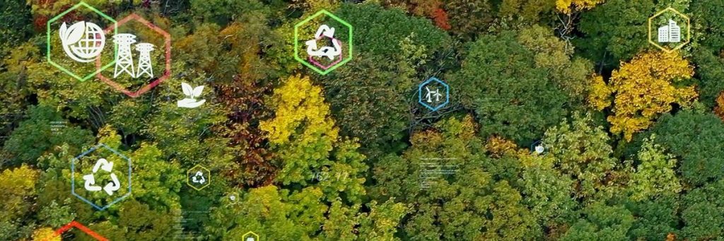 5 real-world examples of the circular economy