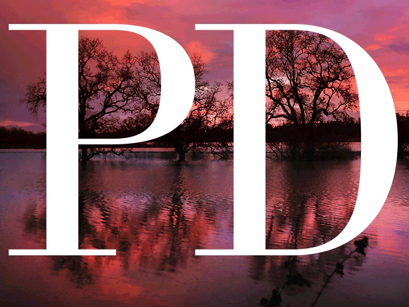 North Bay Business Journal for Sonoma, Solano, Napa, Marin, Mendocino and Lake counties - The Press Democrat